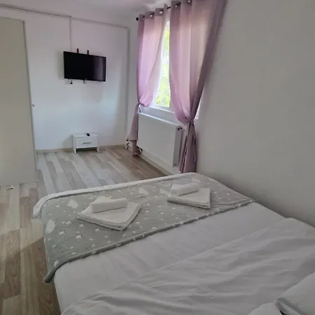 公寓 Moon Apartament 康斯坦察
